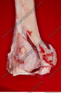 Photo Textures of RAW Bones Beef